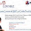 Control Credito Fiscal Acumulado vs Cuenta Corriente SIAT